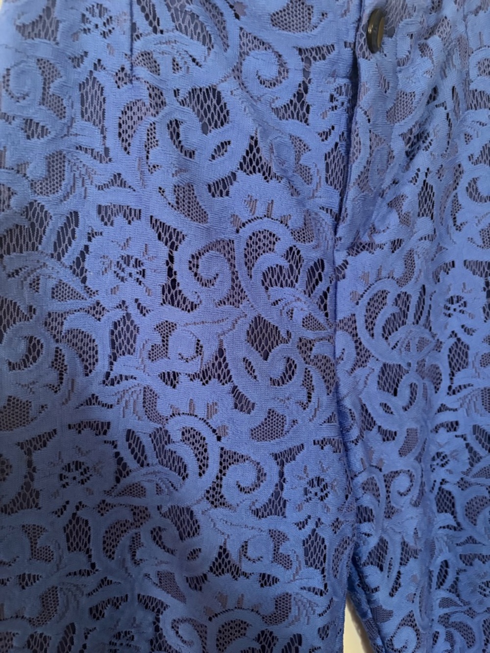 Anthropologie Maeve Colette Blue Lace Wide-Leg Crop Pants Size 29 - Picture 4 of 5